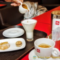 Our great cups of Illy coffee